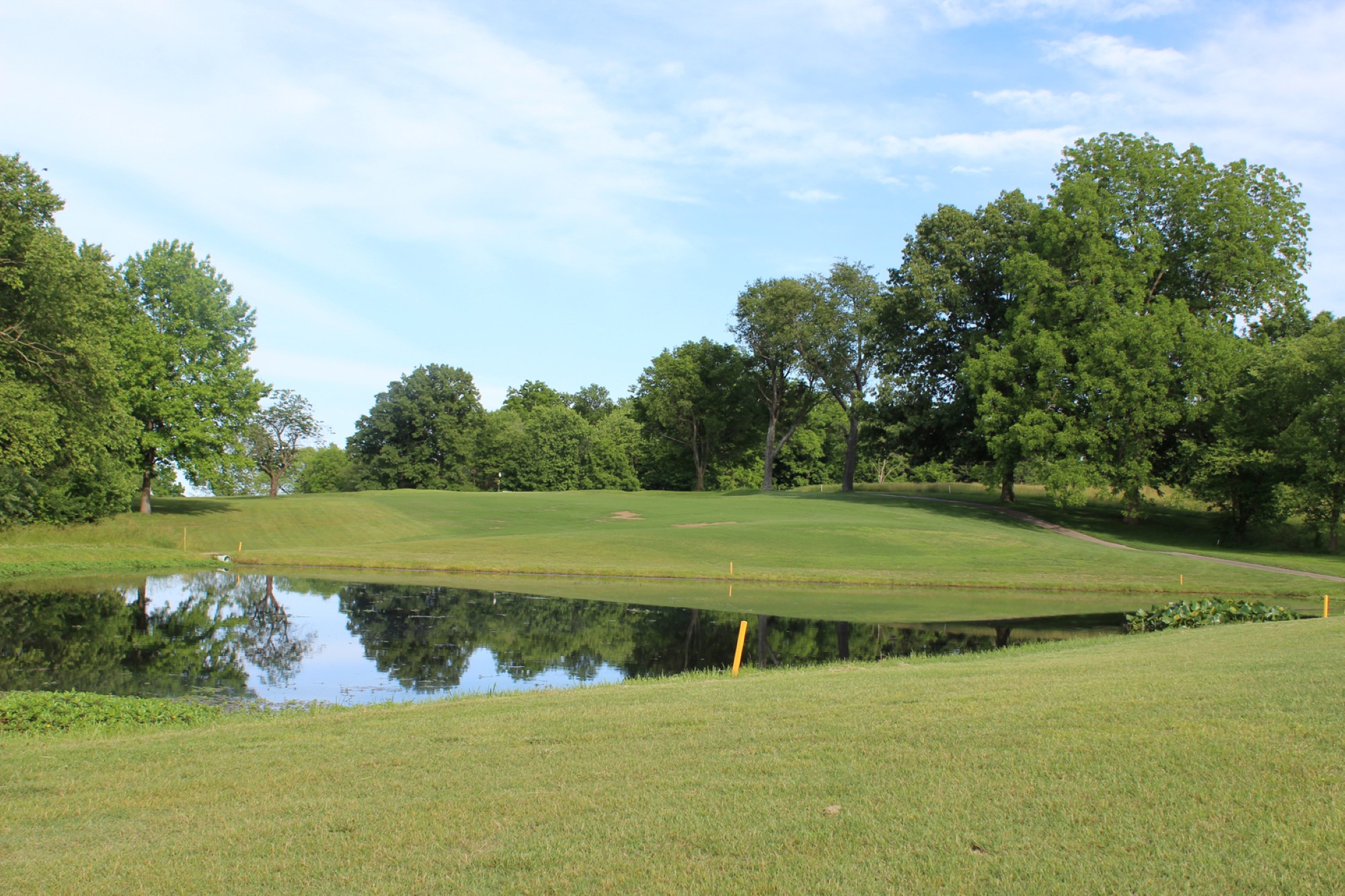 Image of golf ball on tee on grass.