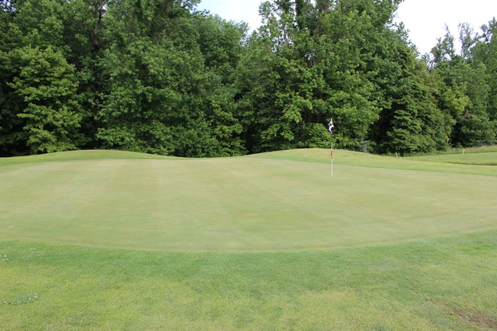 Golf course green